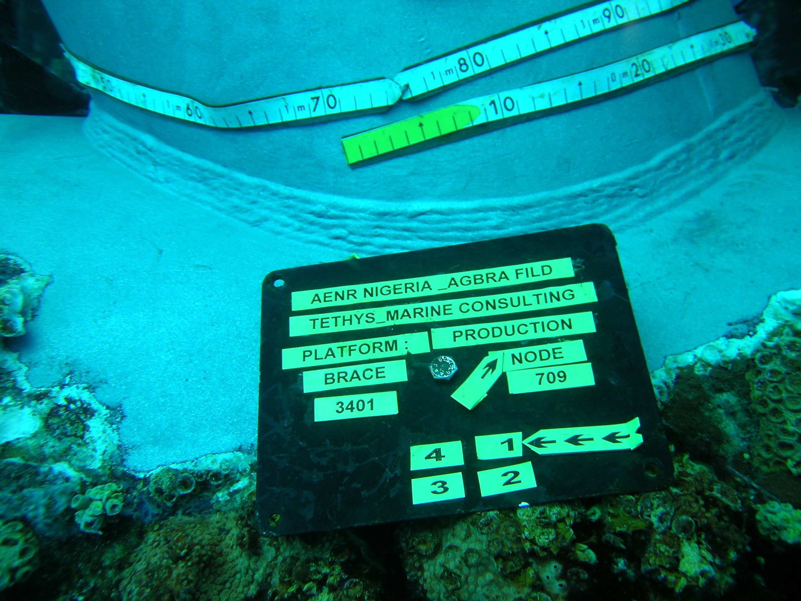 Close-up of mooring chain inspection